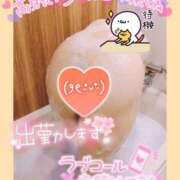 ヒメ日記 2025/02/18 11:29 投稿 めいさ 奥様さくら日本橋店