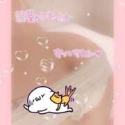 ヒメ日記 2025/02/20 14:28 投稿 めいさ 奥様さくら日本橋店