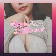 ヒメ日記 2025/03/25 12:30 投稿 めいさ 奥様さくら日本橋店