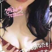 ヒメ日記 2025/04/19 12:00 投稿 めいさ 奥様さくら日本橋店