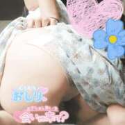 ヒメ日記 2025/12/16 10:45 投稿 めいさ 奥様さくら日本橋店