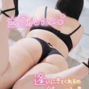 ヒメ日記 2026/07/30 08:43 投稿 めいさ 奥様さくら日本橋店