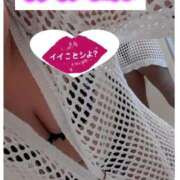 ヒメ日記 2026/03/09 09:46 投稿 まや 奥様さくら日本橋店