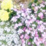 かすみ かすみ（奥様さくら日本橋店） 奥様さくら日本橋店