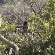 ヒメ日記 2025/03/30 15:47 投稿 なるみ 奥様さくら日本橋店