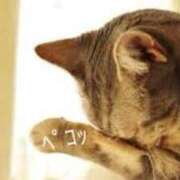 ヒメ日記 2025/03/27 11:59 投稿 ほまれ 奥様さくら日本橋店