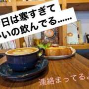 ヒメ日記 2023/12/23 13:19 投稿 えーこ 奥様さくら日本橋店