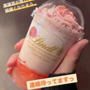 ヒメ日記 2025/04/03 12:49 投稿 えーこ 奥様さくら日本橋店