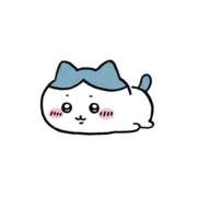 ヒメ日記 2025/11/19 11:40 投稿 ひろ 奥様さくら日本橋店