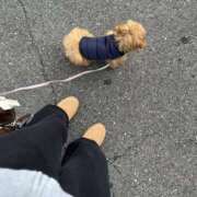 ひろ ひろ（clubさくら日本橋店） 奥様さくら日本橋店