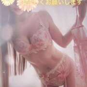 ヒメ日記 2025/03/01 12:05 投稿 かれん 奥様鉄道69 東京店