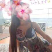 ヒメ日記 2025/04/03 13:05 投稿 かれん 奥様鉄道69 東京店