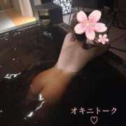 ヒメ日記 2025/04/05 22:15 投稿 かれん 奥様鉄道69 東京店