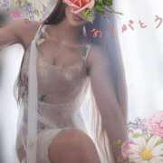 ヒメ日記 2025/06/07 11:35 投稿 かれん 奥様鉄道69 東京店