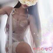 ヒメ日記 2025/10/03 12:05 投稿 かれん 奥様鉄道69 東京店