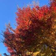 ヒメ日記 2024/12/19 19:15 投稿 はな 新宿・新大久保おかあさん