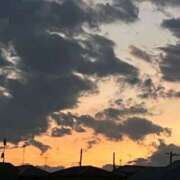 ヒメ日記 2025/01/25 08:55 投稿 はな 新宿・新大久保おかあさん