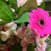 ヒメ日記 2025/02/02 07:35 投稿 はな 新宿・新大久保おかあさん