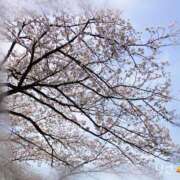 ヒメ日記 2025/04/18 09:01 投稿 りさ かりんと五反田