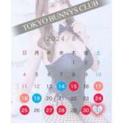 ヒメ日記 2024/08/12 21:43 投稿 もも TOKYO BUNNYS CLUB