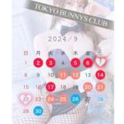 ヒメ日記 2024/08/27 21:43 投稿 もも TOKYO BUNNYS CLUB