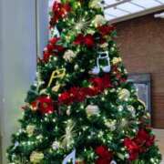 ヒメ日記 2024/12/24 16:14 投稿 星野 MadameRest(マダムレスト)