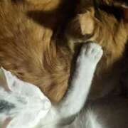 ヒメ日記 2025/01/12 14:11 投稿 星野 MadameRest(マダムレスト)