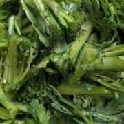 ヒメ日記 2025/02/02 11:27 投稿 星野 MadameRest(マダムレスト)