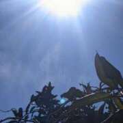 ヒメ日記 2025/02/24 14:31 投稿 星野 MadameRest(マダムレスト)