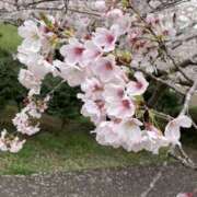 ヒメ日記 2025/02/27 13:55 投稿 星野 MadameRest(マダムレスト)