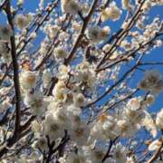 ヒメ日記 2025/02/27 16:55 投稿 星野 MadameRest(マダムレスト)