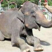 ヒメ日記 2025/03/06 21:52 投稿 星野 MadameRest(マダムレスト)