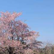 ヒメ日記 2025/03/22 15:05 投稿 星野 MadameRest(マダムレスト)