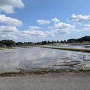 ヒメ日記 2025/04/06 09:06 投稿 星野 MadameRest(マダムレスト)