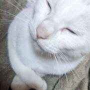 ヒメ日記 2025/04/08 15:43 投稿 星野 MadameRest(マダムレスト)