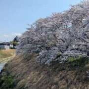 ヒメ日記 2025/04/09 15:30 投稿 星野 MadameRest(マダムレスト)