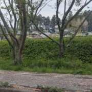 ヒメ日記 2025/04/12 09:04 投稿 星野 MadameRest(マダムレスト)