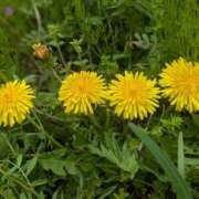 ヒメ日記 2025/04/12 11:18 投稿 星野 MadameRest(マダムレスト)