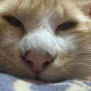 ヒメ日記 2025/04/13 08:53 投稿 星野 MadameRest(マダムレスト)