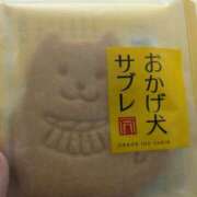 ヒメ日記 2025/04/26 10:56 投稿 星野 MadameRest(マダムレスト)