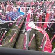 ヒメ日記 2025/04/27 11:18 投稿 星野 MadameRest(マダムレスト)