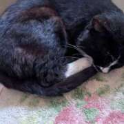 ヒメ日記 2025/05/03 10:52 投稿 星野 MadameRest(マダムレスト)