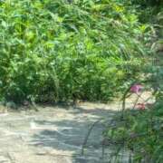 ヒメ日記 2025/05/04 13:55 投稿 星野 MadameRest(マダムレスト)