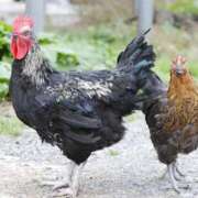 ヒメ日記 2025/05/05 09:10 投稿 星野 MadameRest(マダムレスト)