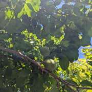 ヒメ日記 2025/05/07 12:47 投稿 星野 MadameRest(マダムレスト)