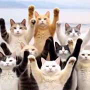 ヒメ日記 2025/05/07 15:08 投稿 星野 MadameRest(マダムレスト)