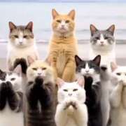 ヒメ日記 2025/05/10 10:41 投稿 星野 MadameRest(マダムレスト)