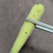 ヒメ日記 2025/05/18 09:18 投稿 星野 MadameRest(マダムレスト)