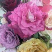 ヒメ日記 2025/05/18 10:59 投稿 星野 MadameRest(マダムレスト)