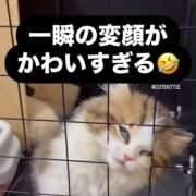 ヒメ日記 2025/05/25 09:11 投稿 星野 MadameRest(マダムレスト)